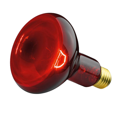 Infrared Bulb 100 W